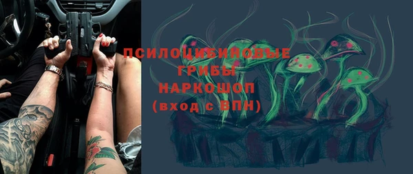 дживик Арсеньев