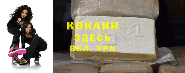 индика Армянск