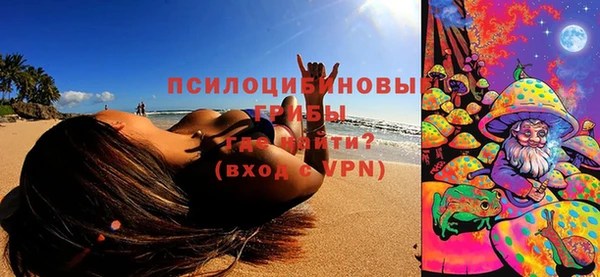 мяу мяу мука Новозыбков