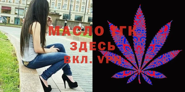 индика Армянск
