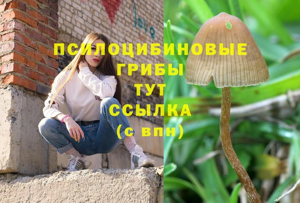 мескалин Аркадак