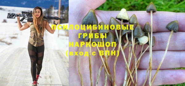 мескалин Аркадак