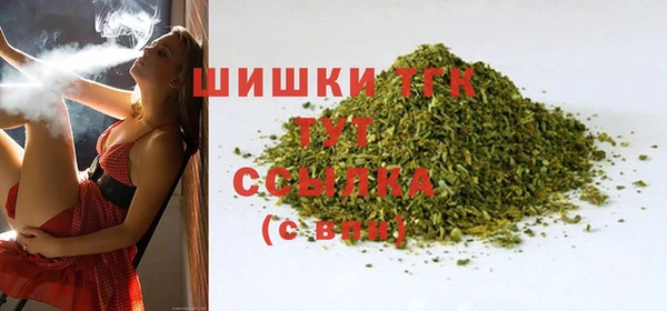 индика Армянск